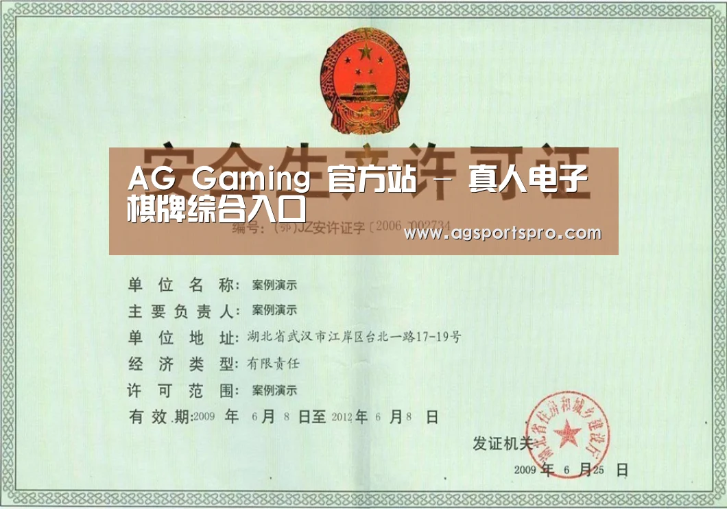 AGGaming荣誉证书三(图1)