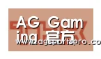 AGGaming合作伙伴二