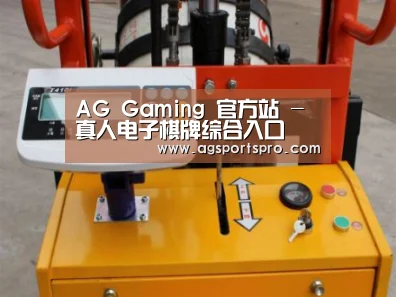 AGGaming案例展示三(图1)