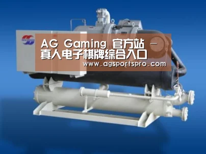 AGGaming案例展示四